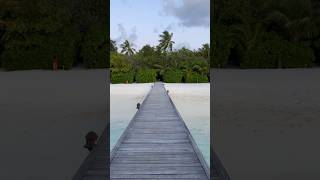 Maldives Constance Moofushi Experience in 1 minute [upl. by Eirellam]