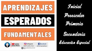 Aprendizajes esperados fundamentales 2011 y 2017 para preescolar primaria y secundaria [upl. by Ikcaj]