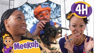 Blippi amp Meekahs Forest Fiesta Exploring Trees amp Puppet Tales  4 HRS OF MEEKAH [upl. by Euqirne]