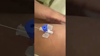 IV cannula insertiondoctornursingmotivationviralvideoshortvideo [upl. by Eilsel754]