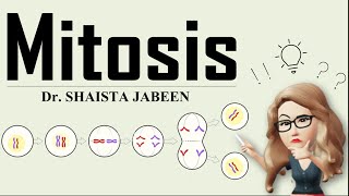 Mitosis I Cell Division I Complete Process of Mitosis I Learn How Your Cells Divide and Grow [upl. by Castra]