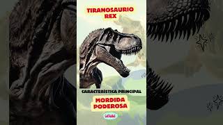 Dinosaurios y sus Características Especiales 🦕🦖 Parte 1 [upl. by Ydde]