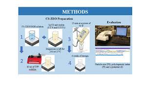 STABILITY OF CHITOSANBASED NANOPARTICLES FUNCTIONALIZED WITH DIFFERENT CONCENTRATIONS OF ZEOLITES [upl. by Emelina]