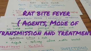 Rat bite fever Microbiology Zoonotic infections Miscellaneous [upl. by Assenab249]