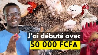 Comment Débuter lÉlevage des Poules Locales Avec 50 000 FCFA  Méthode Très Simple [upl. by Lashond]