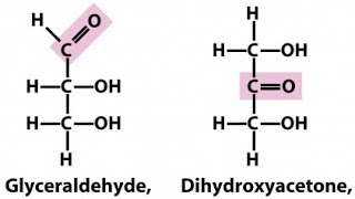 Trioses  Glyceraldehyde and Dihydroxy acetone  Monosaccharides [upl. by Olihs]