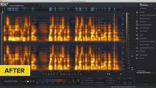 Reduce Reverb in Audio with iZotope RX® 3 [upl. by Neiht17]