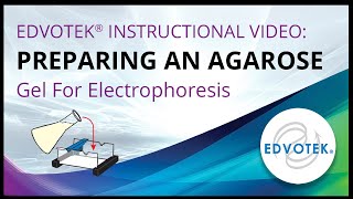 Preparing an Agarose Gel For Electrophoresis  Edvotek Video Tutorial [upl. by Ellenid]