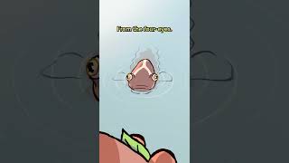 Largescale Foureyes 👀👀🐟 animation original cartoon [upl. by Chrissie]