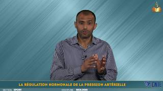 Section Sport  Biologie – La régulation hormonale de la pression artérielle [upl. by Shepard]