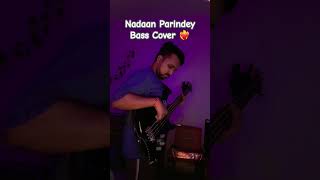 Nadaan Parindey Bass Cover ❤️‍🔥 [upl. by Telfore]