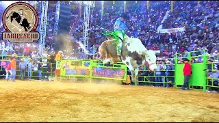 ¡¡TODAS LAS MONTAS DEL GALLITO DE MORELIA vs RANCHO LA MISION [upl. by Lakin38]