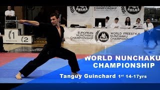 World Nunchaku Championship 2014  Tanguy Guinchard  1st place  1417yrs [upl. by Aihsotal]