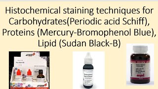 Histochemical staining techniques for Carbohydrates Proteins Lipid [upl. by Rowen]