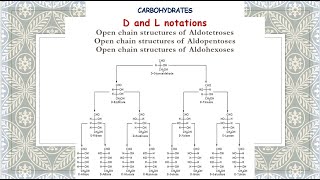 D and L notations  Open chain structures of Aldotetroses Aldopentoses Aldohexoses Carbohyrdates [upl. by Yerfdog459]