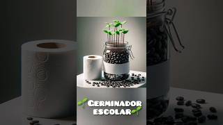 🌱 Cómo hacer un GERMINADOR de frijoles negros 🌱 [upl. by Akenal547]