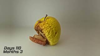 Apple decomposing  Time Lapse [upl. by Norrie]