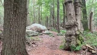 630 am walk from campsite in Wompatuck State Park in Massachusetts just south of Boston [upl. by Otreblif]