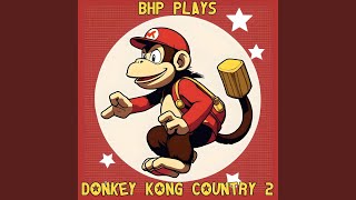 Swanky Swing from quotDonkey Kong Country 2quot [upl. by Waldman]