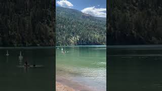 Cosens Bay Beach in Okanagan Valley BC canada okanaganlife [upl. by Divadnahtanoj59]