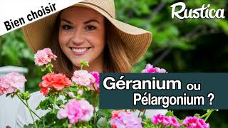 Géranium ou Pelargonium Bien choisir son pélargonium pour le jardin ou le balcon [upl. by Shannen154]