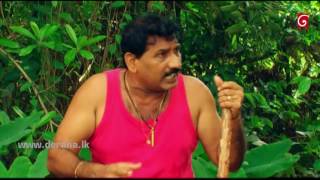 Naataka Marai Hathedi Marai  Episode 292  Kolu Baage  28072016 [upl. by Machutte]