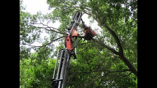 Tree Mek with Mecanil Grapple Saw [upl. by Eelanaj285]