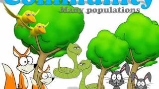 Ecology Introduction [upl. by Ajiram]