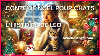 UN CONTE DE NOËL POUR CHATS le chat Léo [upl. by Oilasor]