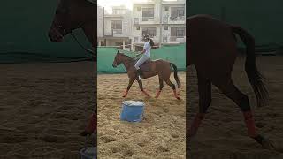 Horse Heaven Equestrian Sports Academy Jaipur Admission Open [upl. by Fong]