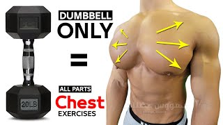 7 BEST CHEST EXERCISES WITH DUMBELLS ONLY 🎯 [upl. by Utir]