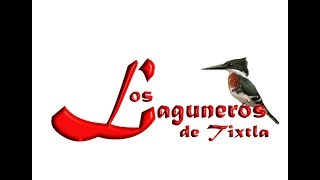 LOS LAGUNEROS DE TIXTLA quotEL RECOCOquot [upl. by Enylecoj220]