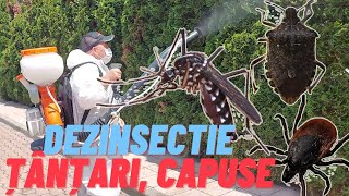 Dezinsectie capuse plosnite tantari cu Insecticid KOthrine SC 25 Ruris A103S [upl. by Otila]