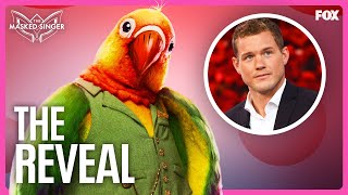 The Reveal Colton Underwood is Lovebird  Season 11  The Masked Singer [upl. by Ardnait771]