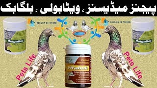 Pigeons Medicines Vitaboli Belgabac Products of Belgica De Weerd [upl. by Noma]