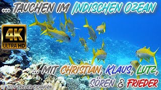 Tauchen im Indischen Ozean 🐬🐠 🐟 [upl. by Domingo239]