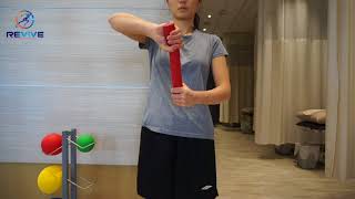 Tennis Elbow Lateral Epicondylitis Exercises [upl. by Alinoel658]