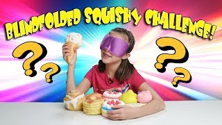 BLINDFOLDED SQUISHIES CHALLENGE My Squishy Collection [upl. by Rica948]