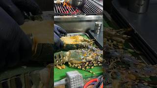 Must Eat Biggest Lobster BBQ food seafood lobster thailand [upl. by Guibert]