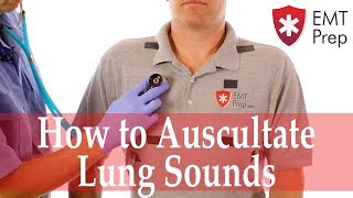 Physiological pathological breath sounds [upl. by Secilu352]