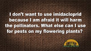 QampA – I don’t want to use imidacloprid What else can I use for pests on my flowering plants [upl. by Wilhelm890]