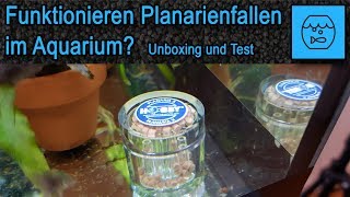 Funktionieren Planarienfallen im Aquarium Unboxing und Test der Hobby Planaria X Falle [upl. by Primrose]