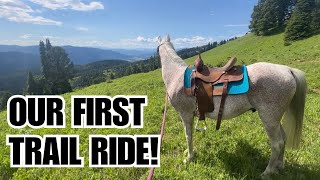 Arabian HORSE 🏔️ Trail riding in MONTANA POV [upl. by Michaelina]