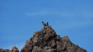 Southern Idaho [upl. by Schulze]