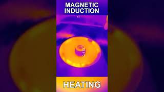 The Power of Magnetic Induction [upl. by Adnaram930]