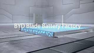 Inside BYDs ultrasafe Blade Battery factory  BYD Technology [upl. by Kendy]