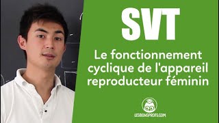 Le fonctionnement cyclique de lappareil reproducteur féminin  SVT  Collège  Les Bons Profs [upl. by Sheffield653]