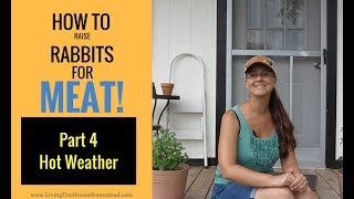 How to Raise Rabbits for Meat Part 4 Keeping Rabbits Cool in Hot Weather [upl. by Harneen]