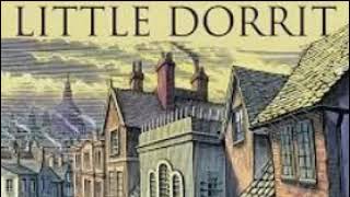 Charles Dickens  Little Dorrit 4871 In Which A Great Patriotic Conference Is Holden [upl. by Ahtnahc]