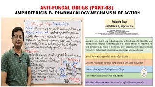 Antifungal Drugs Part03 Amphotericin B Pharmacology amp Mechanism of Action  Antifungal Medicines [upl. by Trefor]